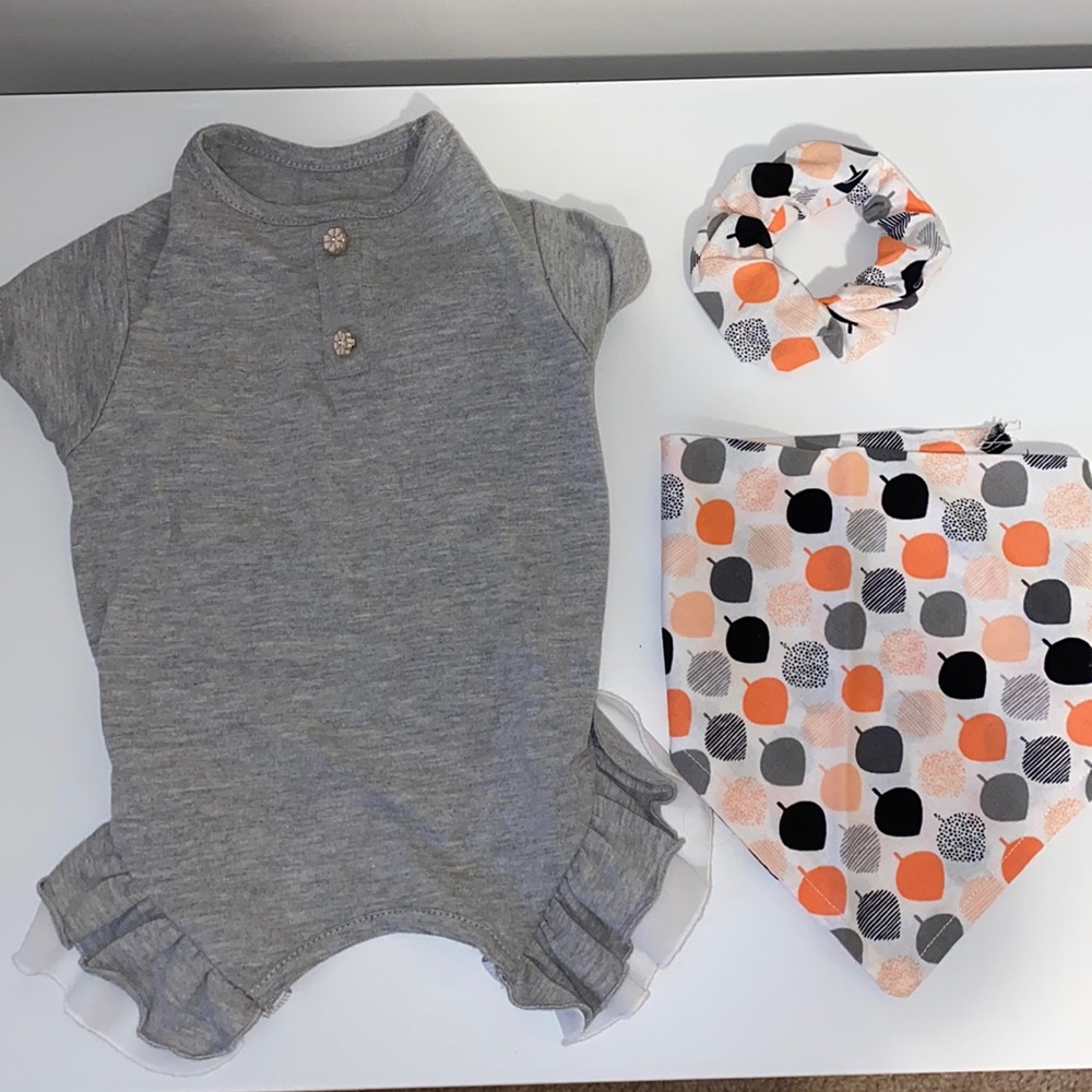 Dog Accessory Bundle